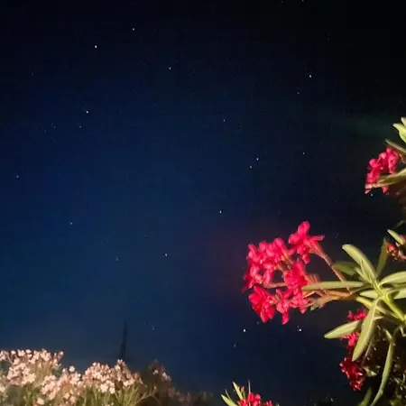 In With Garden 1 شقة بلاتامونيس