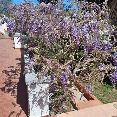 شقة In With Garden 1