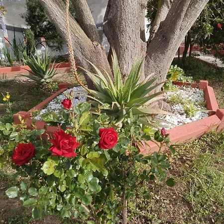 Apartment In With Garden 1 *