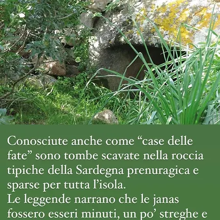 In With Garden 1 * Platamona