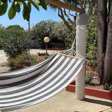 In With Garden 1 بلاتامونيس
